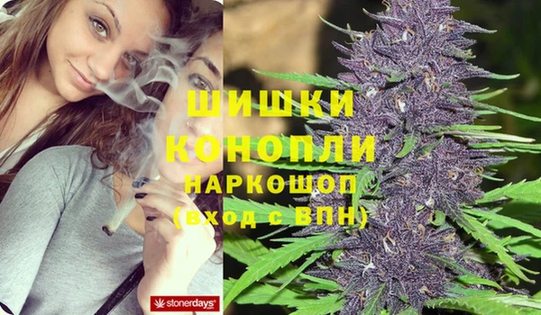 гашик Покров