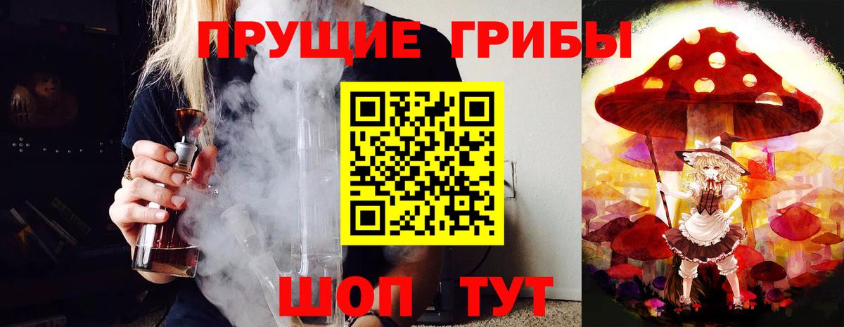 Псилоцибиновые грибы GOLDEN TEACHER Юрга