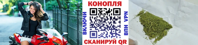Бошки марихуана конопля  Юрга 